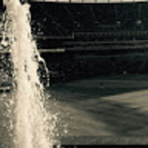 Meet your Posher, Owen